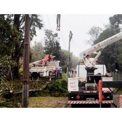Temporal assusta moradores e causa estragos em Campo Largo